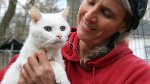 Jackson Township's Seer Farms animal sanctuary director charged with animal  cruelty