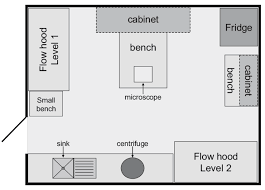 Animal cell culture lab layout. Minimal Requirements For A Small Self Contained Fish Tissue Culture Lab Download Scientific Diagram