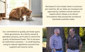 One with just one meal per day as well as the various other way to make certain you always have sufficient pet cat food available is to make it. Amazon Com Blackwood Pet Cat Food Made In Usa Super Premium Dry Cat Food For Adult Indoor And Senior Cats Chicken Meal And Brown Rice Recipe Pet Supplies