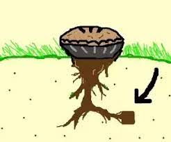 Square root function and graph. How Can We Write The Square Root Of Pi Math Pi Math Quora