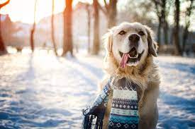 A young woman must journey through the seasons to rescue her boyfriend who has been kidnapped by the evil snow queen. Cool Trivia 8 Snow Facts On The White Stuff Silversneakers
