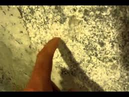 Mold on basement walls indicate nothing but moisture and water penetration. White Mold Removal In Basement On Concrete Youtube
