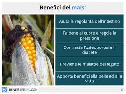 La polenta ha 183 calorie (kal). Mais Calorie Valori Nutrizionali Benefici E Controindicazioni