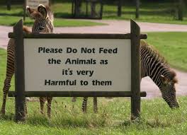 Do not feed the animals sign zoo. Crunch Time 10 Do Not Feed The Animals Zoo Signs Webecoist