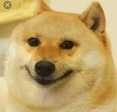 With tenor, maker of gif keyboard, add popular meme face animated gifs to your conversations. Doge Funny Face Meme Templates House