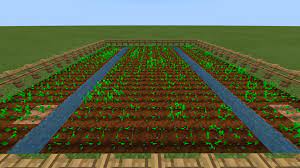 Wheat is an item primarily obtained by farming. Tutorials Crop Farming Official Minecraft Wiki