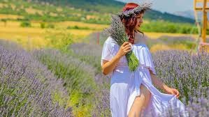 Keçiborlu ilçesinin kuyucak köyü'nde sadece 250 kişi yaşıyor fakat hem yurt içinden hem yurt dışından ziyaretçi akınına uğruyor. 250 Nufuslu Lavanta Koyu 1 Milyon Kisiyi Agirlayacak Tatil Seyahat Haberleri