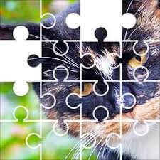 It seems simple enough… buy the puzzle, open the box, dump the pieces out, and start putting them together. Pin On Puzzles