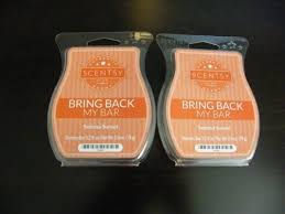 Download This Lot Includes 2 New Scentsy Bars Sedona Sunset Sedona Sunset Description Just As The Setting Sun Paints The Desert Scentsy Bars Scentsy Dish Soap Bottle