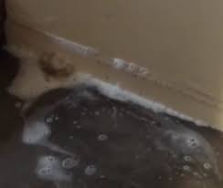 Craig The Odor Dude Shows Step By Step How To Remove Rat Urine Smell From An Attic Or Ceiling Spaces Live Demo And Urine Smells Pee Smell Getting Rid Of Rats