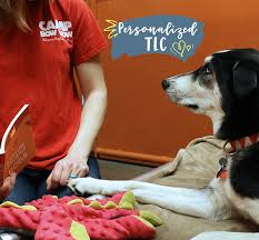 Camp bow wow partnered closely with camp owners throughout the pandemic to provide additional support including increased communications, operational training, vendor negotiations and financial assistance. What Is Enrichment For Dogs