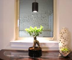 High light plant and low light plants, total grow area, and growth stage. Grow Light Wikipedia