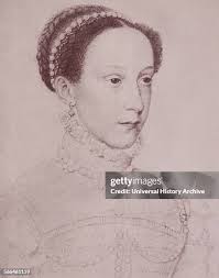 209 Stuart Winston Stock Photos, High-Res Pictures, and Images