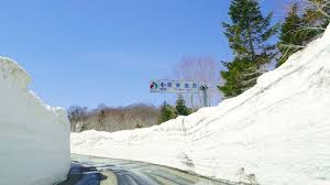 Image result for Hakkoda Walk