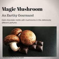 Magic Mushroom A Dark Forest Gourmand Fragrance The Scent Etsy Stuffed Mushrooms Gourmand Earthy Scent