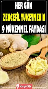 Her Gun Zencefil Tuketmenin Sagliga 9 Faydasi Sosyolife Net Saglikli Yemek Gida Yemek