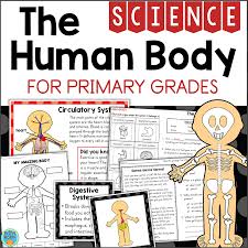 Developing Tactics For Listening Third Edition Audio Free Download The Human Body Systems Organs For Primary Grades Posters Worksheets Fishyrobb In 2020 Human Body Systems Body Systems Primary Grades