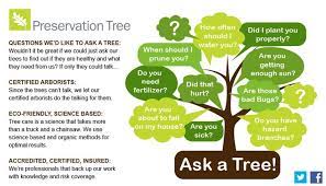 Preservation Tree Services Tree Care Tree Service Infographic