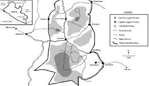 Informieren sie sich auf der wetterkarte für river gee county über den wetterzustand und die temperatur für heute, morgen und die folgenden tage. Study Landscape In River Gee County South Eastern Liberia Download Scientific Diagram
