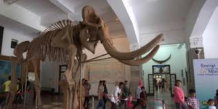 Penulis melaksanakan praktek kerja lapangan di museum geologi yang merupakan salah satu bangunan yang bersifat heritage / heritage building dimana museum geologi ini secara spesifik terletak di jln. Cegah Penyebaran Corona 12 Tempat Wisata Di Bandung Berikut Ditutup Halaman All Kompas Com