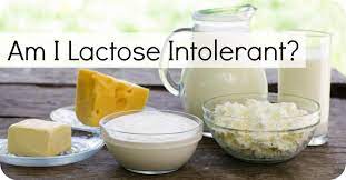 How Would You Find If You Re Lactose Intolerant Eat And Run Food Lactose Intolerant