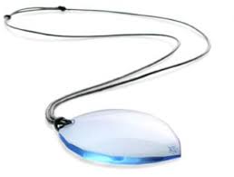 Image result for Monotes magnificus