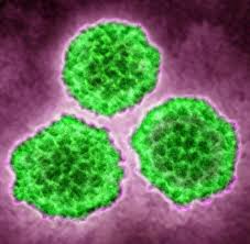 Hpv is a different virus than hiv and hsv (herpes). Hp Viren Oralsex Wie Gross Ist Die Krebs Gefahr Wirklich Welt