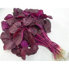 Check spelling or type a new query. Paling Inspiratif Gambar Daun Bayam Merah Victoria Melani Blog