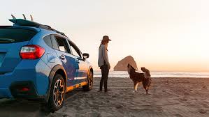 A wide variety of sport utility vehicles 2020 options are available to you, such as made in, condition, and gear box. 10 Best Small And Compact Suvs For 2020 Reviews Photos And More Carmax