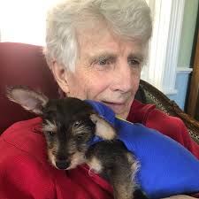 Patrick “Paddy” McMurray