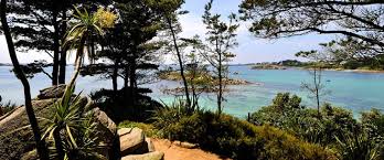 Bretagne Ile De Batz Jardin Exotique Georges Delaselle Prachtige Tuinen Aangelegd Rond 1900 Ile De Batz Galeries De Photos Morlaix