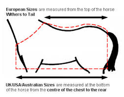 Excel Impex India Your Best Source For Horse Grooming