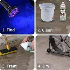 Leave the solution to stay for at least five minutes and add more water or solution to keep it wet for more actions. Remove Dog And Cat Urine Odor From Concrete 3 Easy Steps