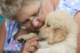 Donna Nyberg Obituary (2013)