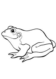 Free printable of frogs coloring pages are a fun way for kids of all ages to develop creativity, focus, motor skills and color recognition. Coloring Pages Printable Freen Frog Coloring Pages For Kids