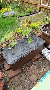 Check spelling or type a new query. Earthbox Fertilizer Type Cromalinsupport