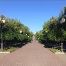 View and download britax boulevard user manual online. Pdf Boulevard As Natural Skeleton Element Of Modern City