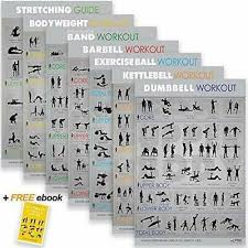 7 Exercise Fitness Posters 30 X20 Large Laminated Gym Planner Charts For 657258981874 Ebay