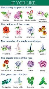 Gardenplanning Tree Garden Planning You Have Garden Gardenplanning Planning Tree Botanische Prenten Soorten Bloemen Planten