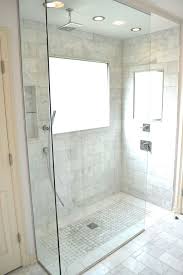 Great Contemporary 3 4 Bathroom With Specialty Door Rain Shower In Indianapolis In Rainhead Shower Bathroom Bathroom Design