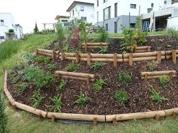 Welche Bodendecker Forum Auf Energiesparhaus At In 2020 Bodendecker Garten Bepflanzen Gartenmauern