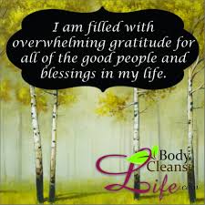 Body Cleanse Life Attitude Of Gratitude Body Cleanse Good People
