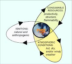 The pyrogeography framework includes vegetation resources to consume,... |  Download Scientific Diagram
