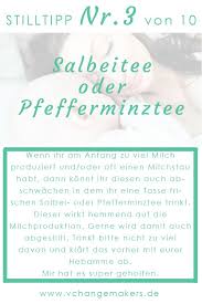 Milchpulver Oder Muttermilch 10 Unverzichtbare Tipps Bei Stillproblemen Muttermilch Salbeitee Und Pfefferminze