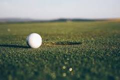 Image result for what is birdie golf