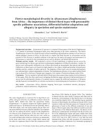 Image result for Aframomum wuerthii