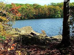 I love to take my pup with me. Millers Pond State Park A Connecticut State Park Located Near Berlin Branford And Bristol
