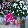 Maybe you would like to learn more about one of these? Avas Flowers In Stillwater Ok With Reviews Yp Com