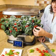 You appear to eliminate any plant you touch; 10 Indoor Gardening Systems That You Can Buy Right Know