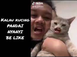 Kalau kucing saya dibawah ini jagonya ngeong ngeong doang nih hihiiii. Bile Kucing Pandai Menyanyi Youtube